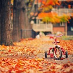 Leaves-Trike