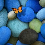 Lonely-Butterfly---iPad-wallpaper-ilikewallpaper_com